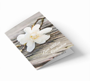 Sterbebild Magnolienblüte