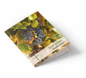 Sterbebild Weinrebe