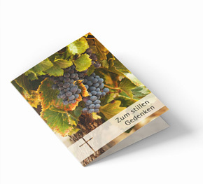 Sterbebild Weinrebe