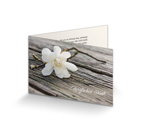 Trauerkarte Danksagung Magnolienblüte