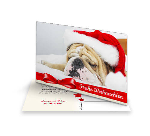 Weihnachtskarte Hund Spike