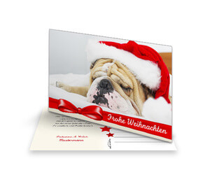 Weihnachtskarte Hund Spike