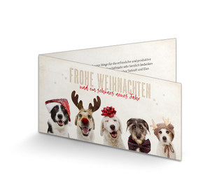 Weihnachtskarte Hundebande